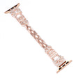 Stylish Apple Smartwatch Metal Universel Strap