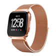 Incredibly agreeable Fitbit Versa Metal Strap