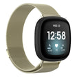 Fashionable Universel Fitbit Metal Strap - Size: L